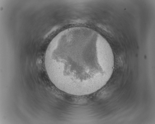 X0000072551254200608041639