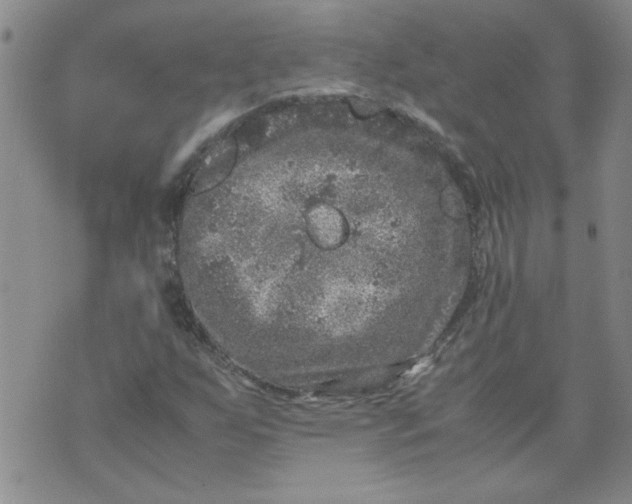 X0000072551255200608041639