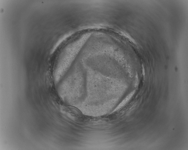 X0000072551256200608041639