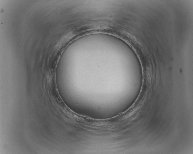 X0000072551257200608041639