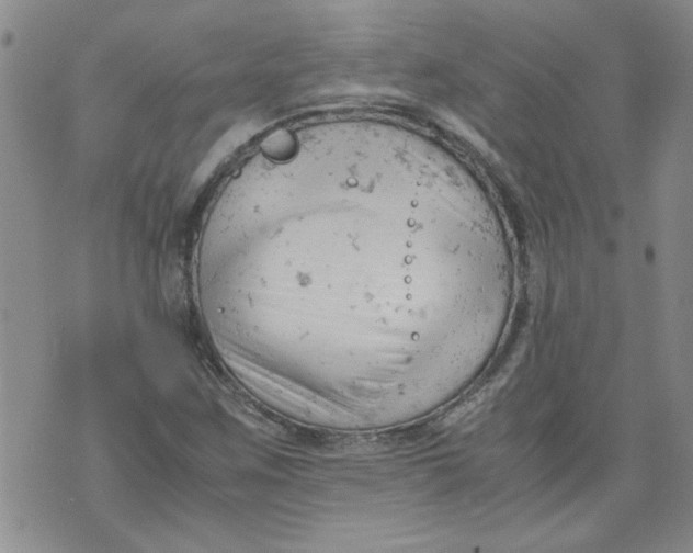 X0000072551259200608041639