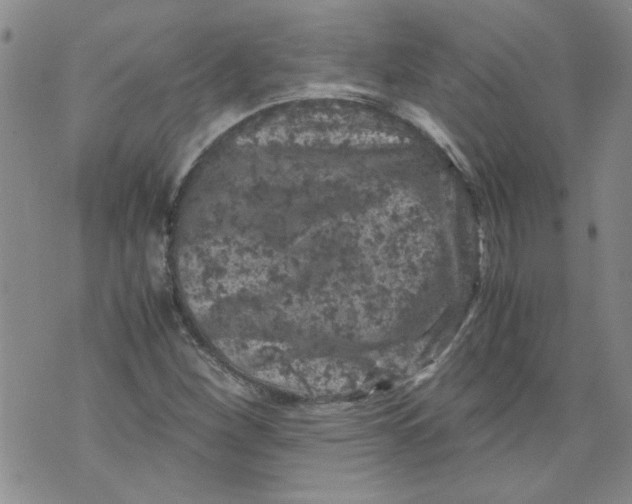 X0000072551260200608041639