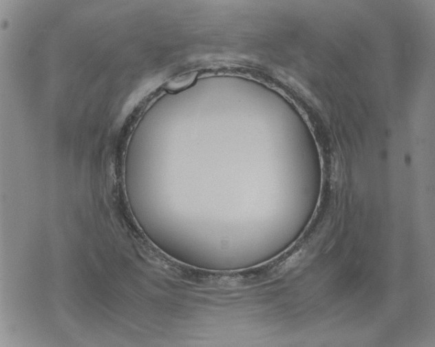 X0000072551261200608041639