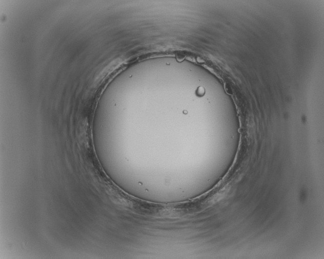 X0000072551265200608041639