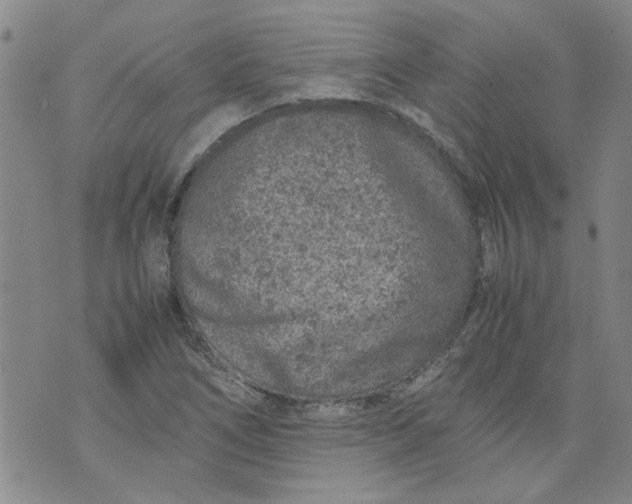 X0000072551266200608041639