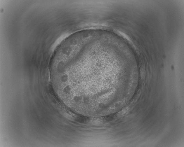 X0000072551267200608041639