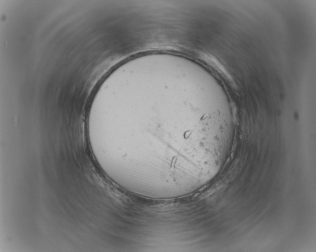 X0000072551268200608041639