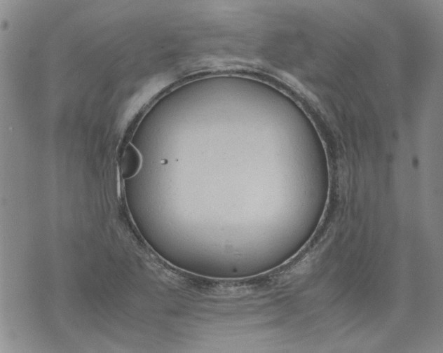 X0000072551269200608041639