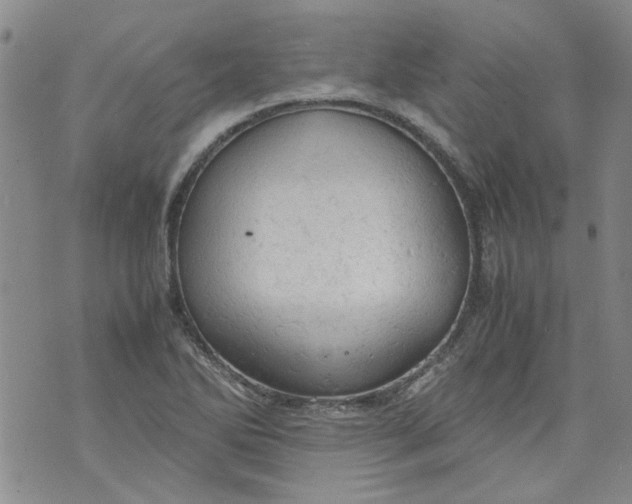 X0000072551270200608041639