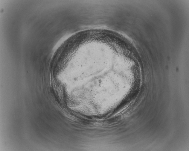 X0000072551271200608041639