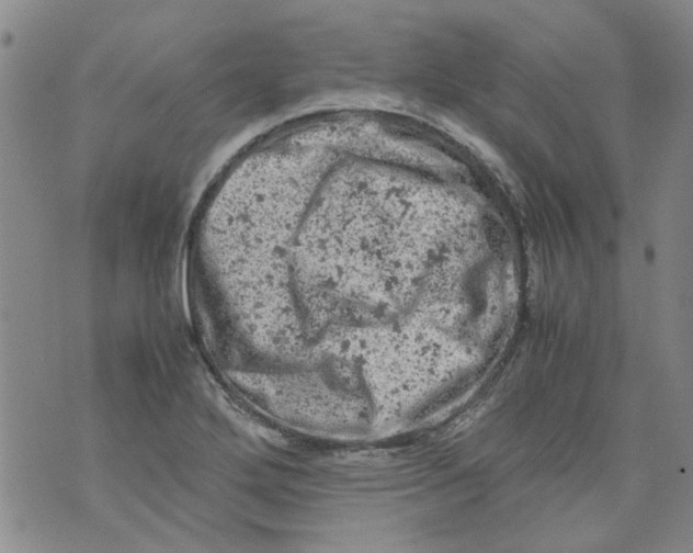 X0000072551272200608041639