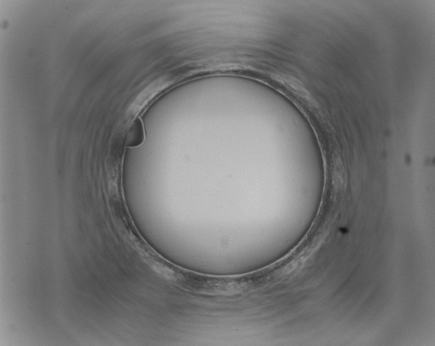 X0000072551273200608041639