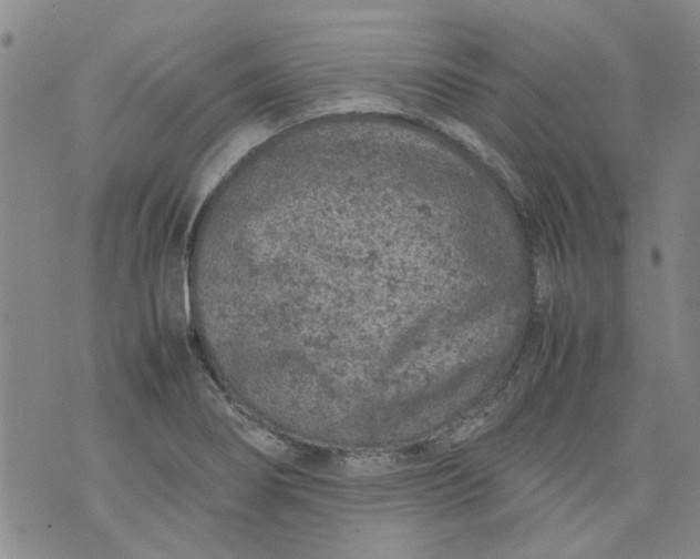 X0000072551274200608041639