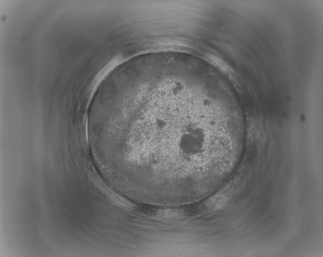 X0000072551275200608041639