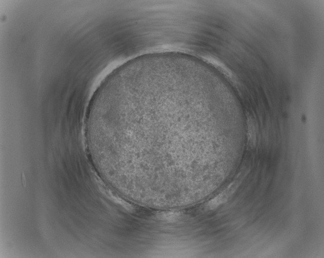 X0000072551278200608041639