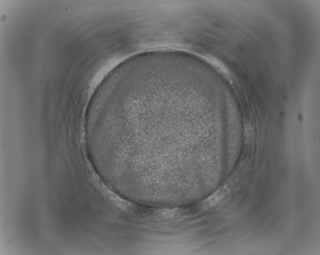 X0000072551279200608041639