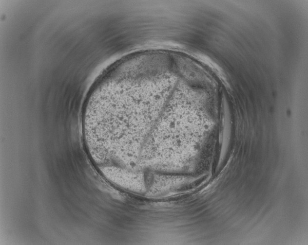 X0000072551280200608041639