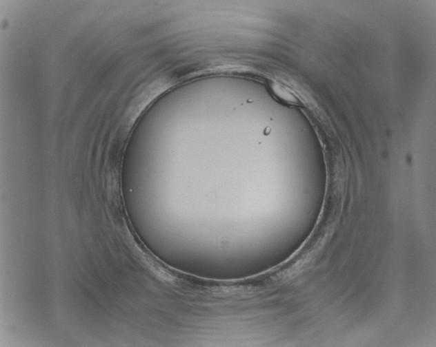 X0000072551281200608041639