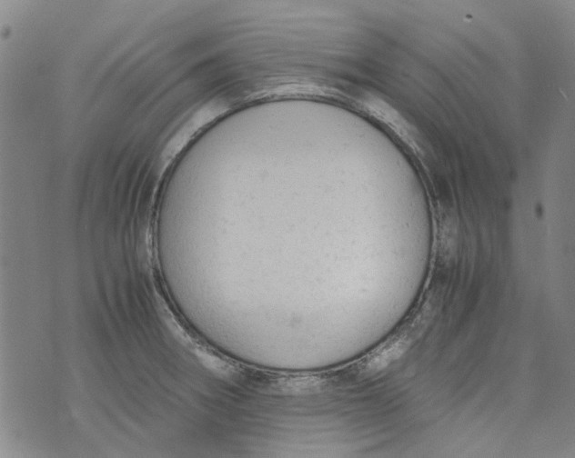 X0000072551282200608041639