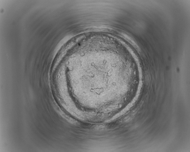 X0000072551283200608041639