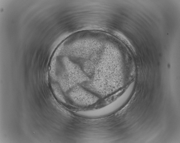 X0000072551284200608041639