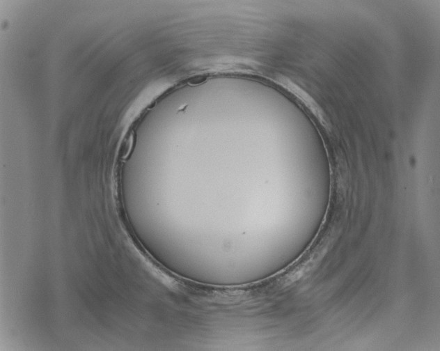 X0000072551285200608041639