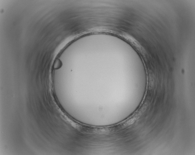 X0000072551286200608041639