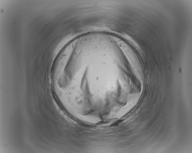 X0000072551287200608041639