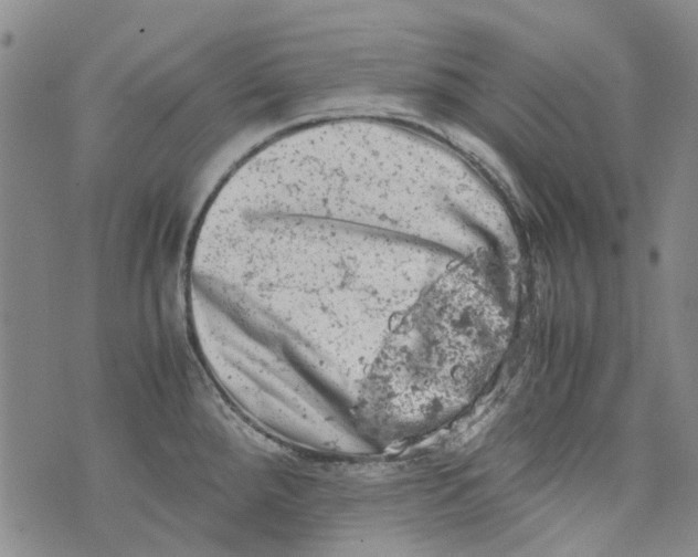 X0000072551288200608041639