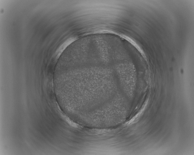 X0000072551289200608041639