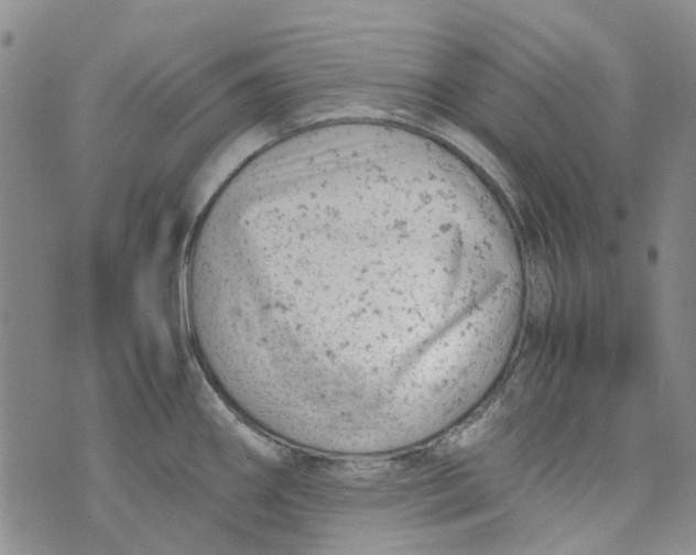 X0000072551290200608041639