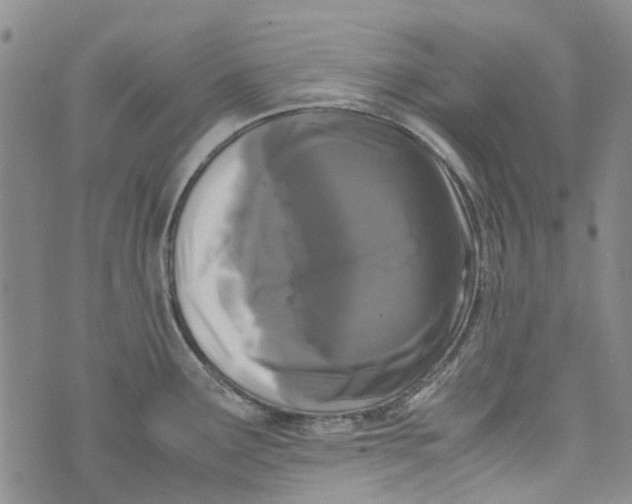 X0000072551291200608041639