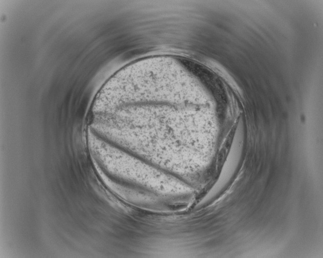 X0000072551292200608041639