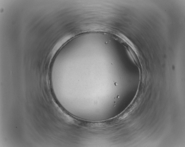 X0000072551293200608041638