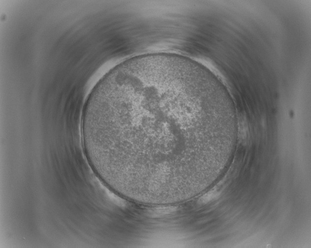 X0000072551294200608041638