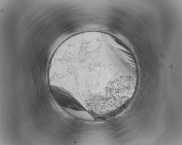 X0000072551296200608041638