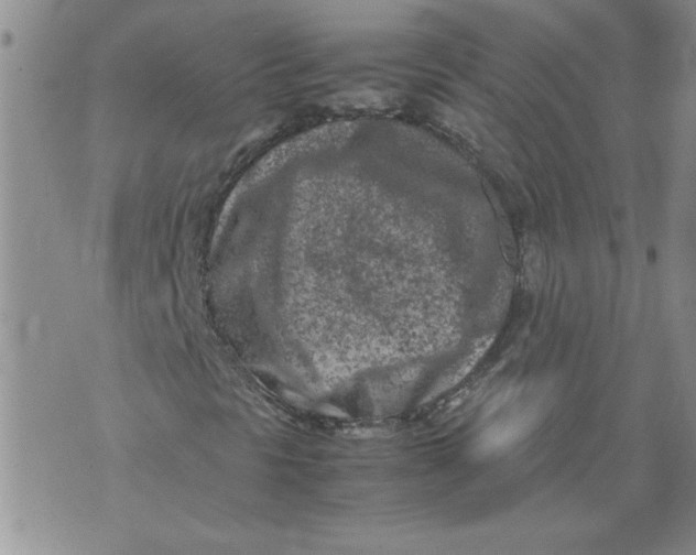 X0000072551297200608041638