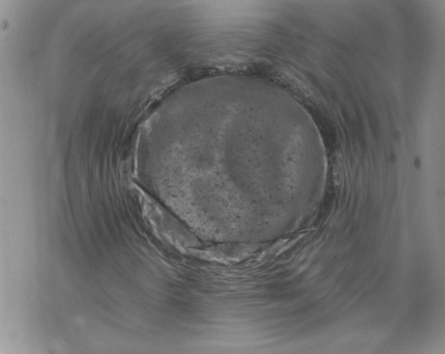 X0000072551298200608041638