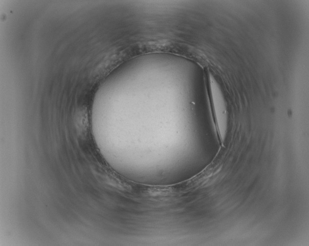 X0000072551299200608041638