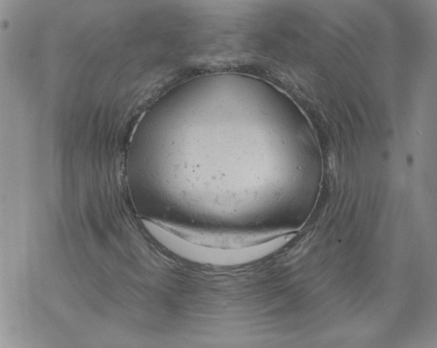 X0000072551300200608041638