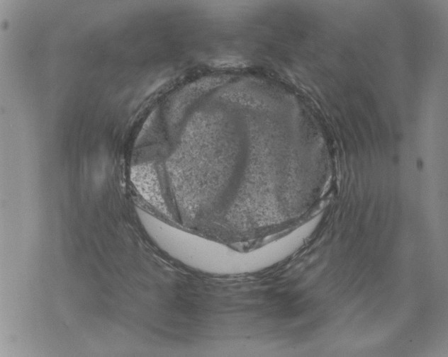 X0000072551301200608041638