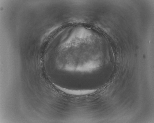 X0000072551303200608041638