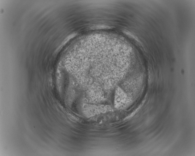 X0000072551305200608041638