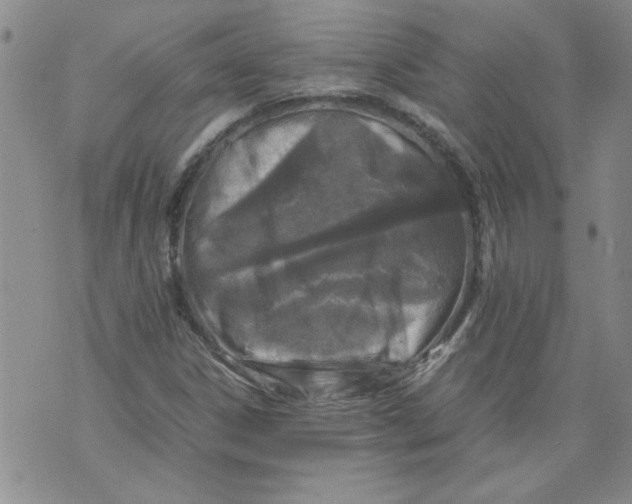 X0000072551306200608041638