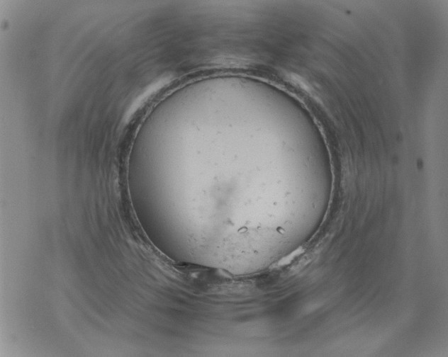 X0000072551307200608041638