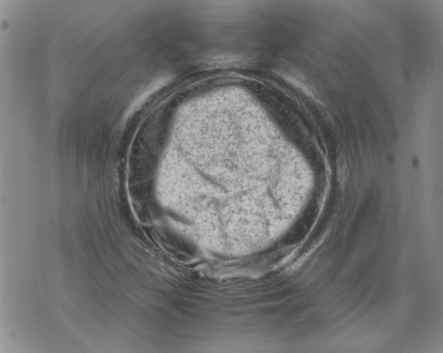 X0000072551309200608041638