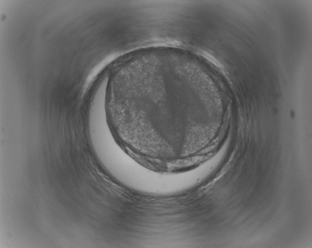 X0000072551310200608041638