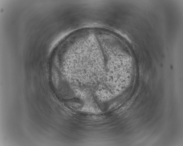 X0000072551311200608041638