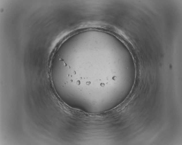 X0000072551312200608041638