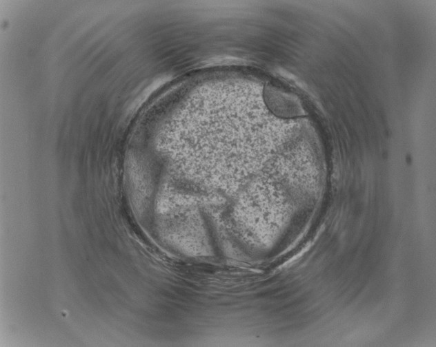 X0000072551313200608041638